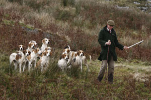 Teme Valley Foxhounds photography by Betty Fold Gallery